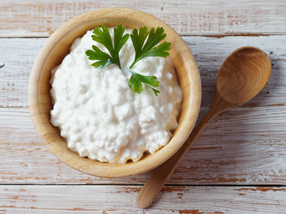 Is Cottage Cheese the Original Bodybuilding Supplement