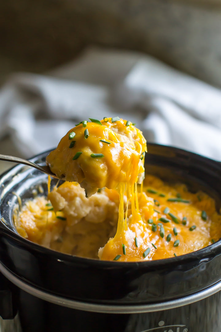 Pico De Queso Cheddar